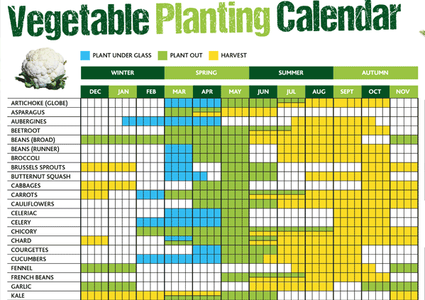 Self Sufficiency Vegetable Planting Calendar
